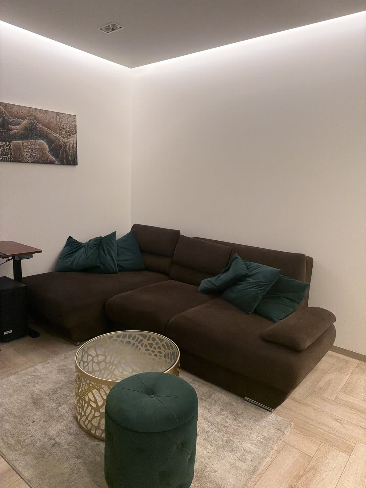 A shopper’s living room, as photographed